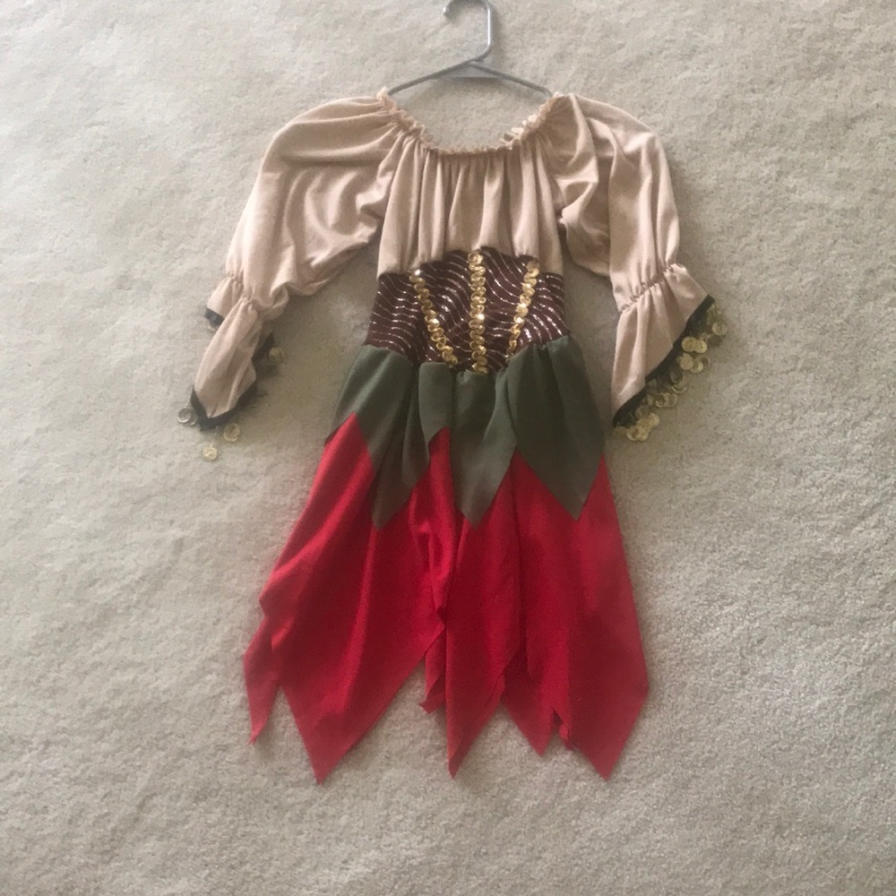 Halloween/ Dance Costume